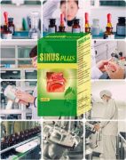 Hoạt động nghiên cứu và sản xuất thuốc từ thảo dược